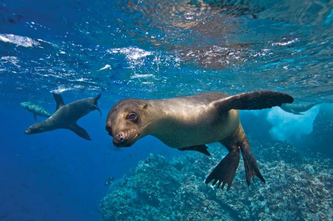 10 cosas que podés hacer gratis en las islas galápagos-min
